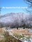 My Appalachian Trail Journal