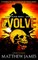 Evolve (A God Blood Novel Book 2)