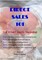 Direct Sales 101