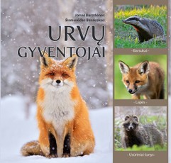 Urvų gyventojai. Barsukai, lapės, usūriniai šunys
