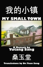 My Small Town