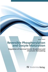 Reversible Phosphorylation and Oocyte Maturation