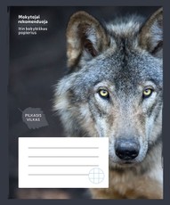 Sąsiuvinis VILKAS, 24 lapų, langeliais