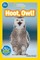 Hoot, Owl!