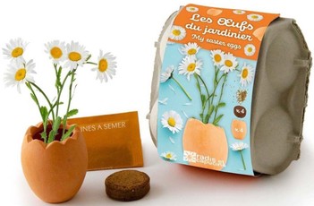 Magiški žydintys velykiniai kiaušiniai RADIS et CAPUCINE