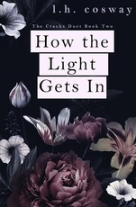 How the Light Gets In