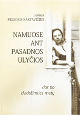 Namuose ant Pasadnos ulyčios: dar po dvidešimties metų