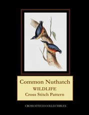 Common Nuthatch