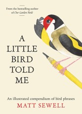 A Little Bird Told Me