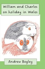 William and Charles on holiday in Wales