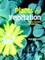 Plants and Vegetation