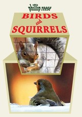 BIRDS and SQUIRRELS