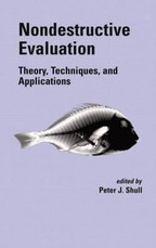Shull, P: Nondestructive Evaluation