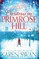 Christmas on Primrose Hill