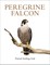 Peregrine Falcon