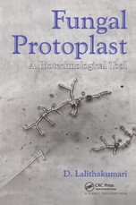 Fungal Protoplast