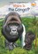 Where Is the Congo?