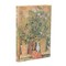 Cezanne's Terracotta Pots and Flowers Cezanne's Terracotta Pots and Flowers MIDI Lin