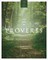 The Book of Proverbs (KJV)