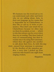 Fernando Maquieira: A Tiny Story