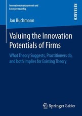 Valuing the Innovation Potentials of Firms