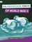 U.S. Undercover Forces of World War II