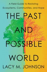 The Past and Possible World