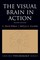 The Visual Brain in Action