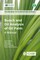 Bunch and Oil Analysis of Oil Palm