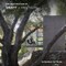 The Architecture of Swatt + Partners