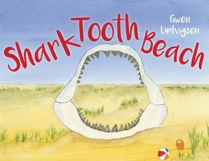 Shark Tooth Beach