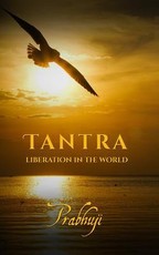 Tantra - Liberation in the world