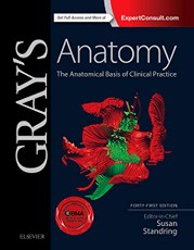 Gray's Anatomy: The Anatomical Basis of Clinical Practice 41st edition