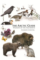 Arctic Guide