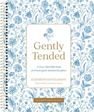 Gently Tended with Streaming Video Access