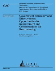 Government Efficiency and Effectiveness