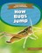 How Bugs Jump