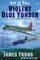 Violent Blue Yonder