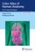 Color Atlas of Human Anatomy