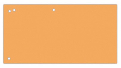 Kartoniniai skirtukai (100vnt.) oranžiniai