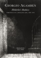HÃ¶lderlin's Madness