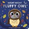 Night Night Fluffy Owl
