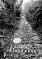 A Century of Hesitation