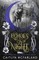 Echoes of Night
