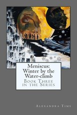 Meniscus