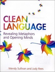 Clean Language