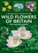 A Naturalist's Guide to Wild Flowers of Britain & Northern Europe