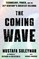 Suleyman, M: Coming Wave