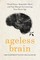 Ageless Brain