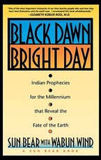 Black Dawn, Bright Day